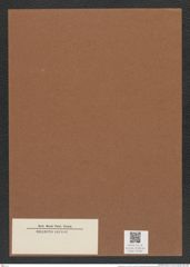 Actinoptychus sp. (de-Toni-Nr.: Genus 227) Zeichnungen Sammlung Grunow Mappe 05382 (Herbarium_W_Grunow_drawings_Folder_05382)